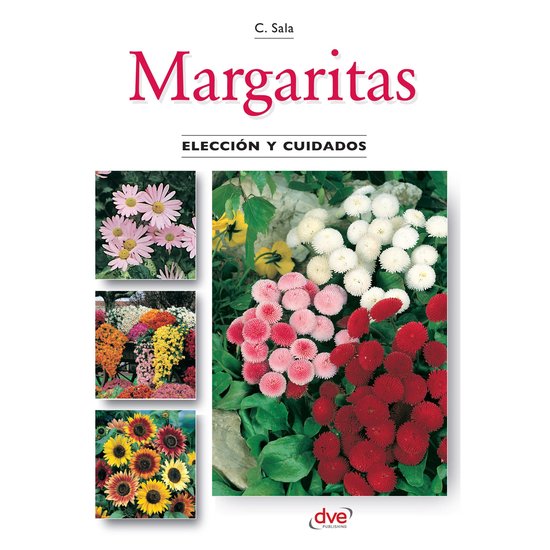 Margaritas - Elección y cuidados - cover