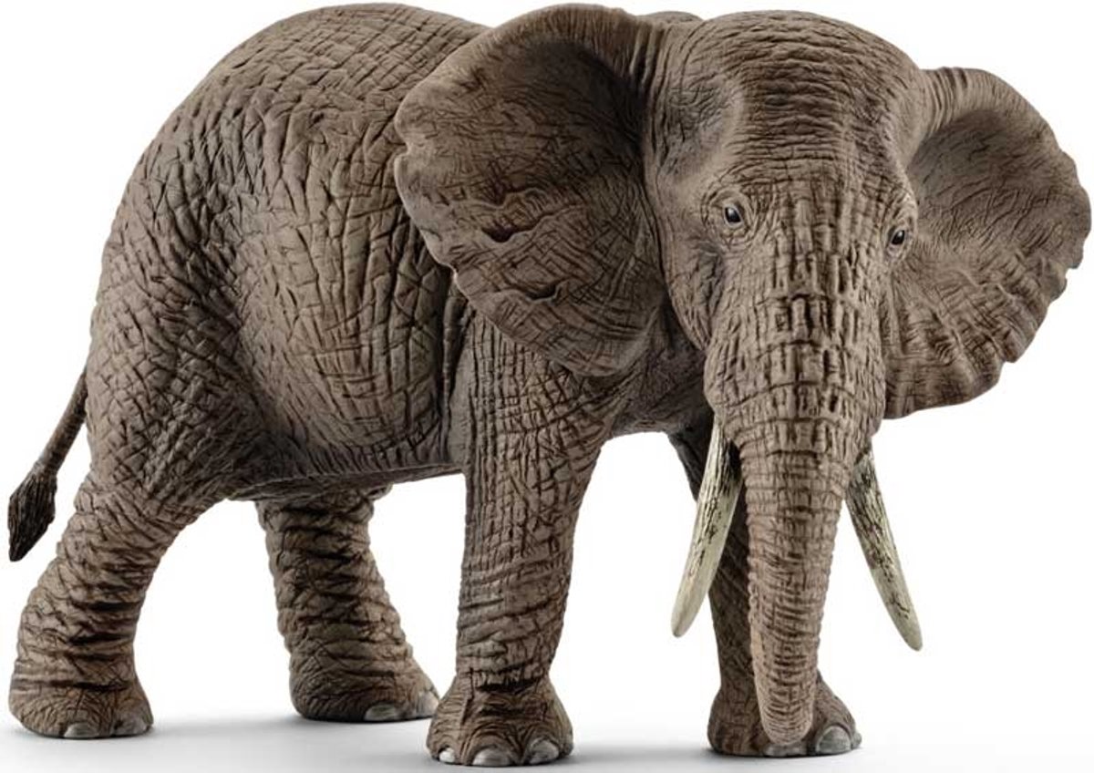 Schleich Wild Life