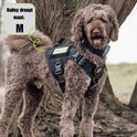 Een bruine, krulharige hond met zwart tuigje in de natuur. "Bailey draagt maat: M" staat in een spraakballon.