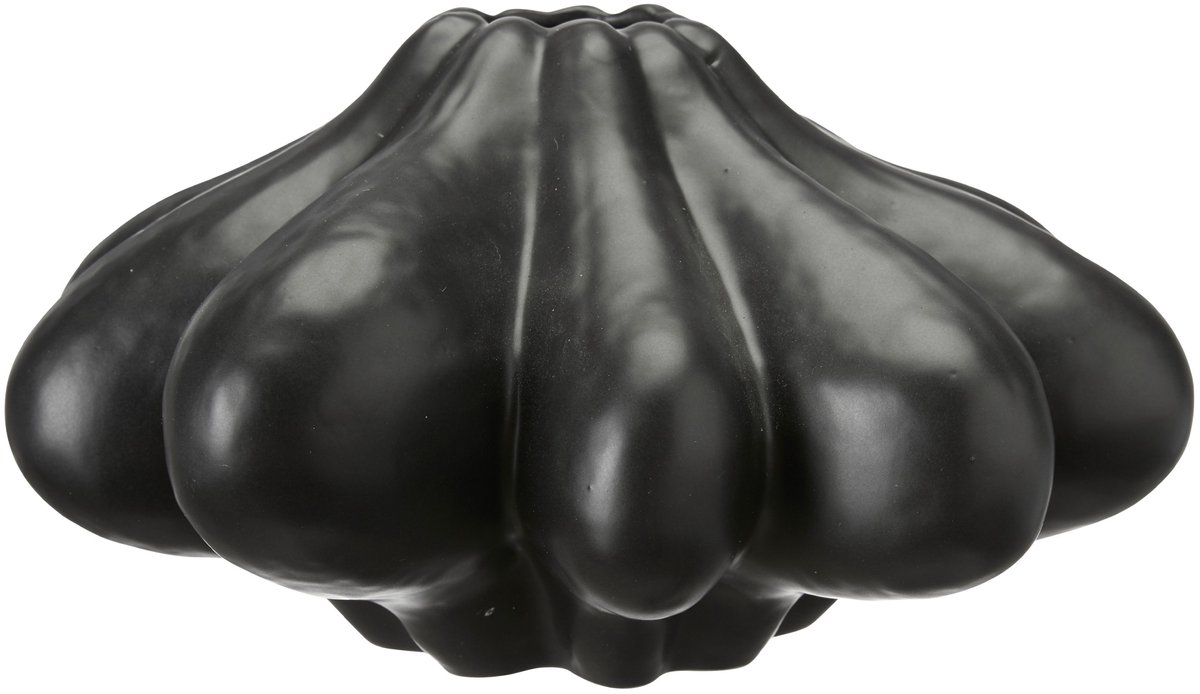 Mat Zwart Keramiek Vaas - Modern Design 22x11 cm