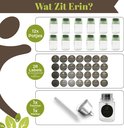 Set van 12 glazen kruidenpotjes met groene deksels, 28 etiketten en een trechter.