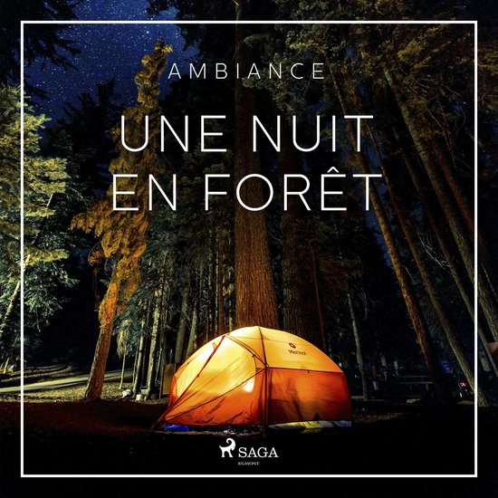 Une nuit en forêt - cover