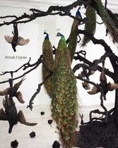 Petah Coyne - Everything That Rises Must Converge