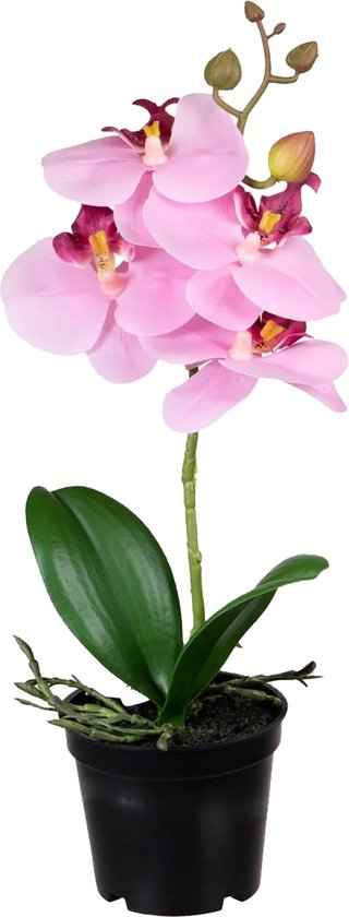 Louis Maes Orchidee bloemen kunstplant op plug - bloemen/bloemetjes - roze/groen - H33 cm - Kamer/kantoor/badkamer