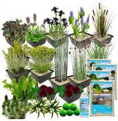 vdvelde.com - Compleet Vijverpakket - L - Zwart - Voor 2.000 - 3.000 L - 93 planten + extra's - Plaatsing: -1 tot -100 cm