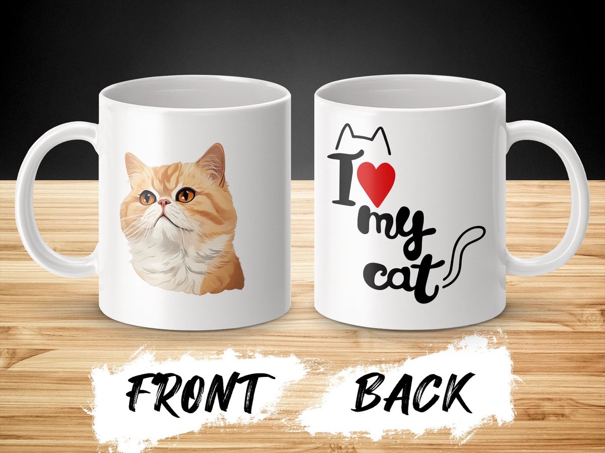 Mok Exotic Shorthair cat - kat - I love my cat - cat lovers - katten