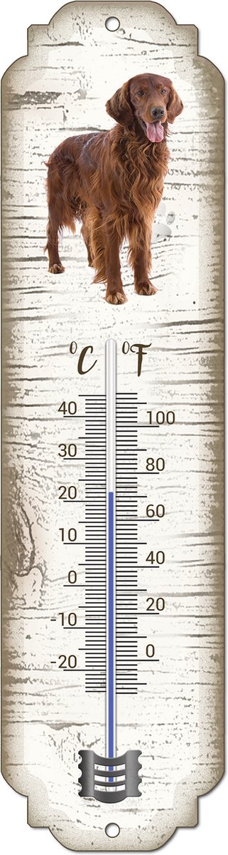 Thermometer: Irish Setter | Hondenras | Temperatuur binnen en buiten | -25 tot +45C