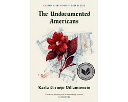 The Undocumented Americans