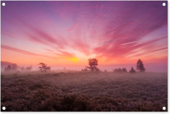 Foto: Tuinposters buiten paarse tinten in nederlands landschap 90x60 cm tuindoek buitenposter