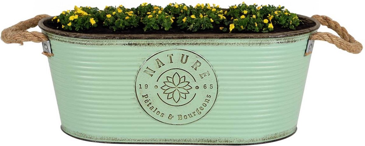 Goedkoopste Sunnydays Teil/plantenpot/bloempot - zink - jadegroen - L35 x D19 x H14 cm