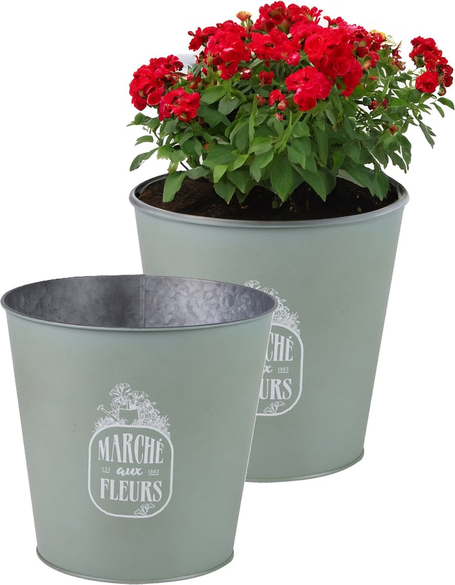 Goedkoopste Sunnydays Emmer/plantenpot/bloempot - 2x - zink - jadegroen - D23 x H22 cm