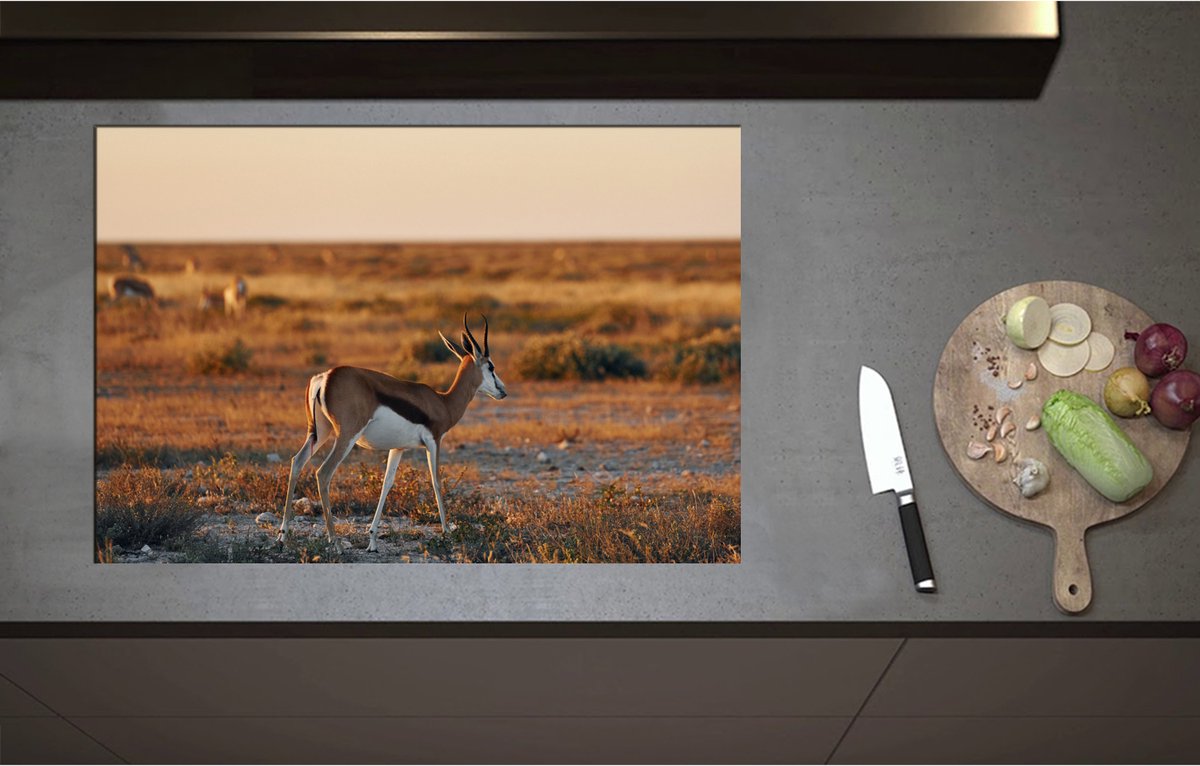 Inductieplaat Beschermer - Achterkant van Antilope in Landschap, Afrika - 80x55 cm - 2 mm Dik - Inductie Beschermer - Bescherming Inductiekookplaat - Kookplaat Beschermer van Zwart Vinyl