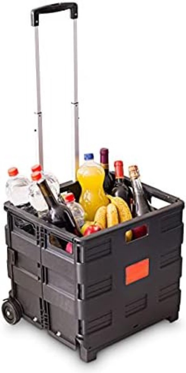Boodschappentrolley met koelvak - Boodschappenkar - Boodschappentrolley - Boodschappentrolley met wielen - 39D x 45B x 101H cm - 45L - Zwart