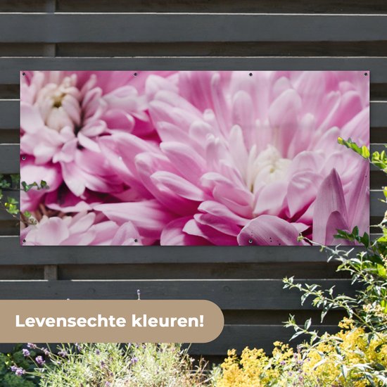Affiche clôture Fleurs - Rose - Nature - 200x100 cm - Toile de jardin