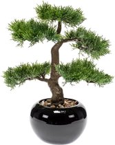 Emerald Kunstplant ceder bonsai groen 34 cm 420001