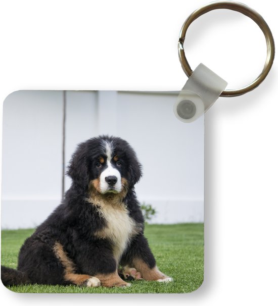 GOSHIES Ballon Hond Sleutelhanger 4 Stuks - Schattige Jelly Puppy voor Autosleutels, Handtassen Accessoires - Meerkleurig, Eén GOSHIES Ballon Hond Sleutelhanger 4 Stuks - Schattige Jelly Puppy voor Autosleutels, Handtassen Accessoires - Meerkleurig, Eén