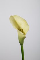 Kunstbloem - Callalelie - topkwaliteit decoratie - 2 stuks - zijden bloem - Groen - 48 cm hoog