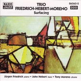Trio Friedrich - Surfacing (CD)