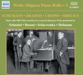 Various Artists - Welte-Mignon Piano Rolls 3 (CD)