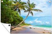 Tuinposter - Tuindoek - Tuinposters buiten - Strand - Zand - Palmboom - 120x80 cm - Tuin