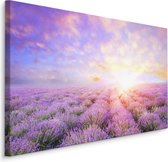 Schilderij - Lavendel tot aan de Horizon, paars, Premium Print