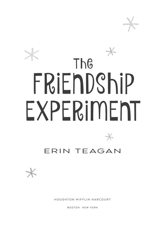 The Friendship Experiment - cover