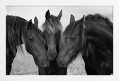 JUNIQE - Poster met houten lijst Black and White Horses -13x18 /Grijs