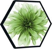 Akoestische panelen - Geluidsisolatie - Akoestische wandpanelen - Akoestisch schilderij AcousticHexagon® - paneel met groene bloem - design 240 - 100cm - Wit - Wanddecoratie - woon