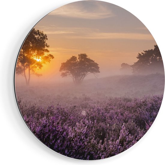 Artaza Dibond Wall Circle - Prairie dans la Veluwe au coucher du soleil - Ø 50 cm - Klein - Wall Circle - Peinture ronde - Pour l'intérieur et l'extérieur