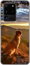 Geschikt voor Samsung Galaxy S20 Ultra hoesje - Een Golden Retriever kijkend naar de zonsondergang - Siliconen Telefoonhoesje