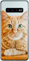 Geschikt voor Samsung Galaxy S10 hoesje - Kat - Hout - Kast - Siliconen Telefoonhoesje