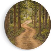 Artaza Dibond Muurcirkel Pad In Het Bos Met Bomen - Ø 80 cm - Groot - Wandcirkel - Rond Schilderij - Voor Binnen en Buiten