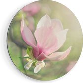 Artaza Dibond Cercle Mural Bloem de Magnolia Rose - Ø 90 cm - Groot - Cercle Mural - Tableau Rond - Pour Intérieur et Extérieur
