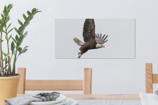 Toile Peinture Aigle de Mer - Vogel - Amérique - 40x20 cm - Décoration murale