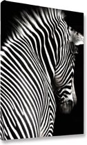 Akoestische panelen - Geluidsisolatie - Akoestische wandpanelen - Akoestisch schilderij AcousticBudget® - paneel met zebra op zwarte achtergrond - design 210 - 50x70 - Wanddecorati
