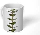 Mok - Eucalyptusstam met bladeren - 350 ML - Beker