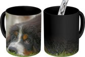 Magische Mok - Foto op Warmte Mok - Berner Sennenhond ligt op het groene gazon - 350 ML