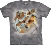 T-shirt Hide and Seek Fox S