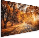 Schilderij - Weg door het Herfst Bos, Premium Print, 5 maten