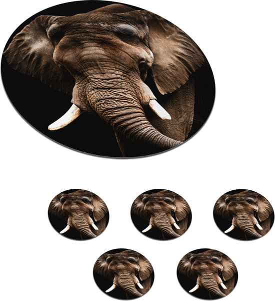 Sous- Sous-verres pour verres - Ronds - Éléphant - Animaux - Dents - 10x10 cm - 6 pièces
