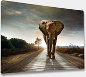 Akoestische panelen - Geluidsisolatie - Akoestische wandpanelen - Akoestisch schilderij AcousticBudget® - paneel met wandelende olifant - design 179 - 70x50 - Wanddecoratie - woonk