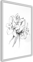 Sketch of Lillies.