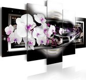 Schilderij - Orchids on a black background.
