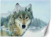 Trend24 - Behang - Wolf En Een Meer - Behangpapier - Fotobehang Dieren - Behang Woonkamer - 200x140 cm - Incl. behanglijm