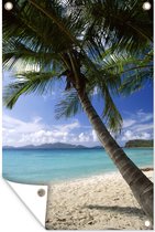 Tuindecoratie Palmboom op het strand - 40x60 cm - Tuinposter - Tuindoek - Buitenposter