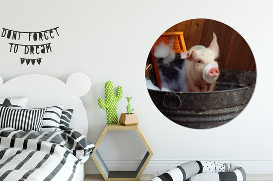 WallCircle - Wall Circle - Wall Circle Indoor - Cochon Lavé - 120x120 cm - Décoration murale - Peintures Ronds XXL