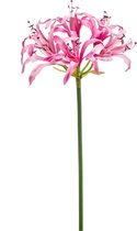 Kunstbloem Nerine roze 75 cm