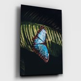 Poster Butterfly - Dibond - Meerdere Afmetingen & Prijzen | Wanddecoratie - Interieur - Art - Wonen - Schilderij - Kunst