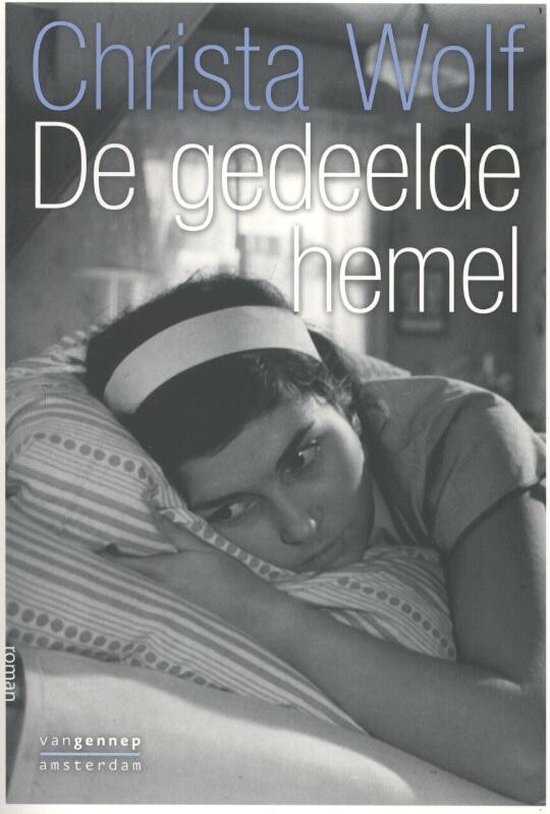 De gedeelde hemel - cover