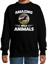 Sweater paard - zwart - kinderen - amazing wild animals - cadeau trui paard / paarden liefhebber 5-6 jaar (110/116)